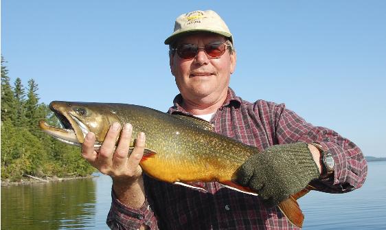Briantorpedo