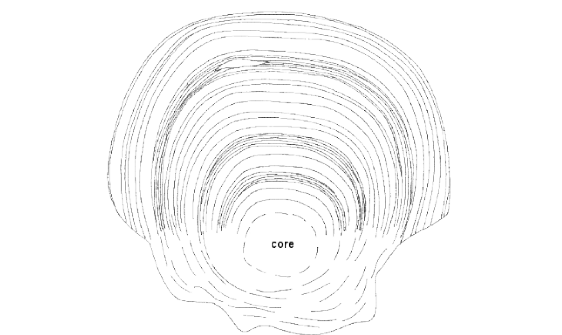 Scale