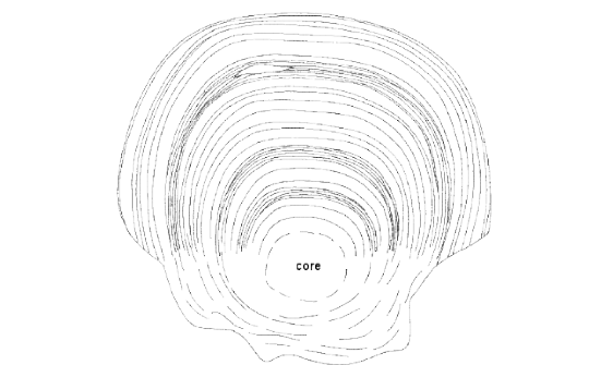 https://www.brooktroutheaven.com/Resources/Scale.gif