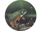 risetroutflymain